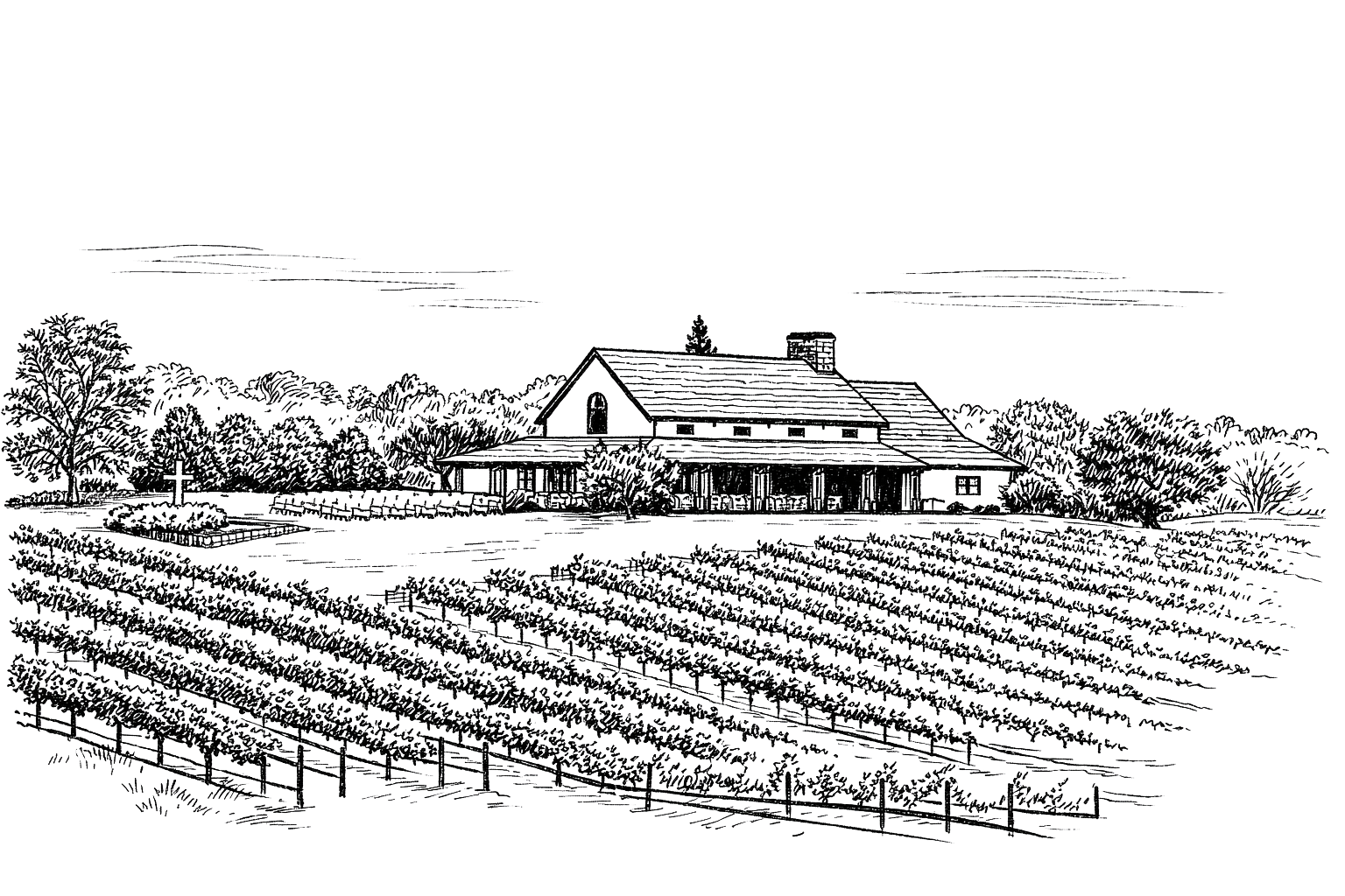 Illustrated vineyard landscape